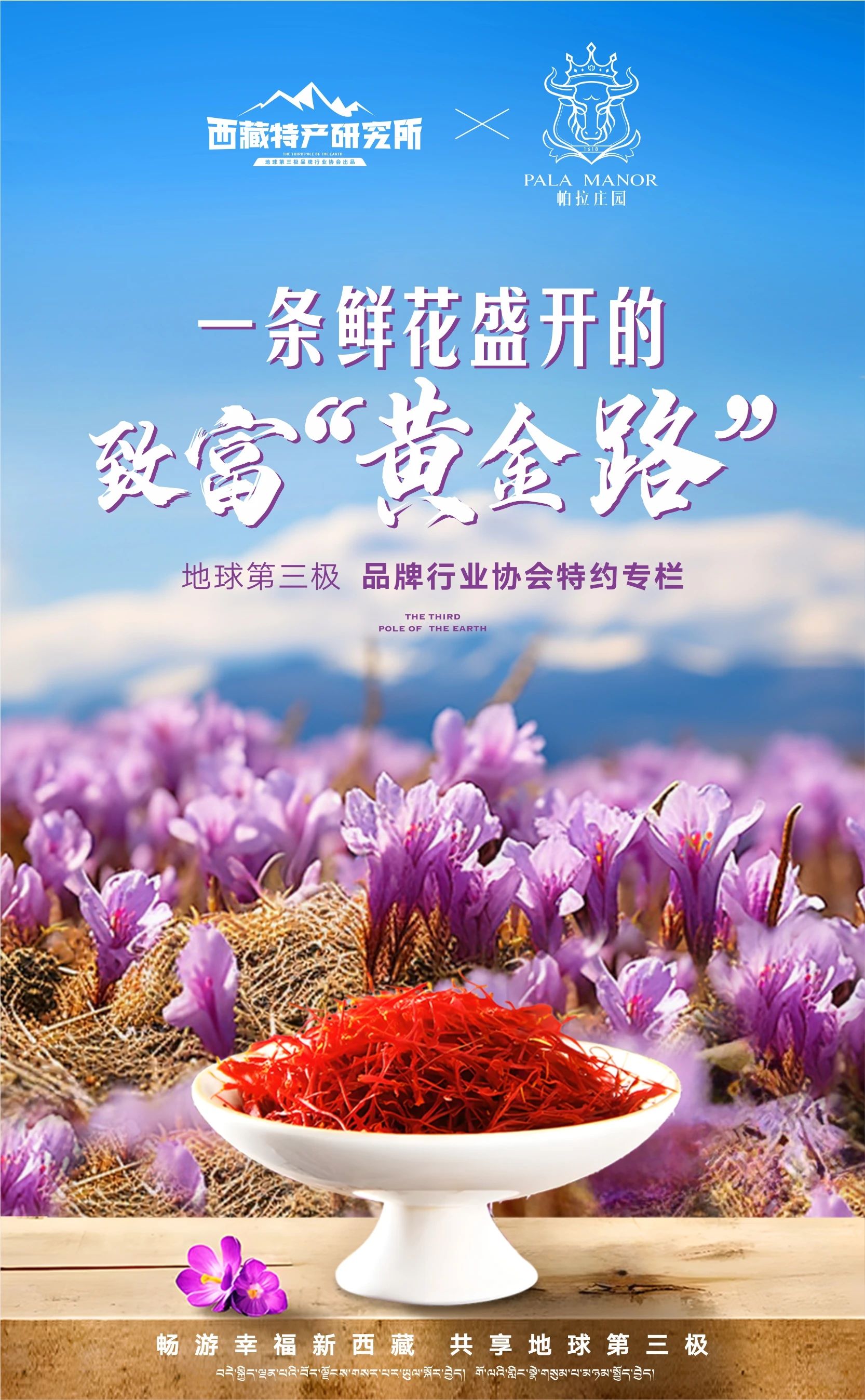 西藏特产研究所X红河谷藏红花｜一条鲜花盛开的“致富黄金路”
