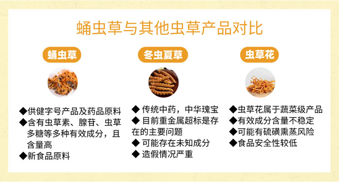 多重免疫保护,多倍健康保障——百消丹蛹虫草胶囊