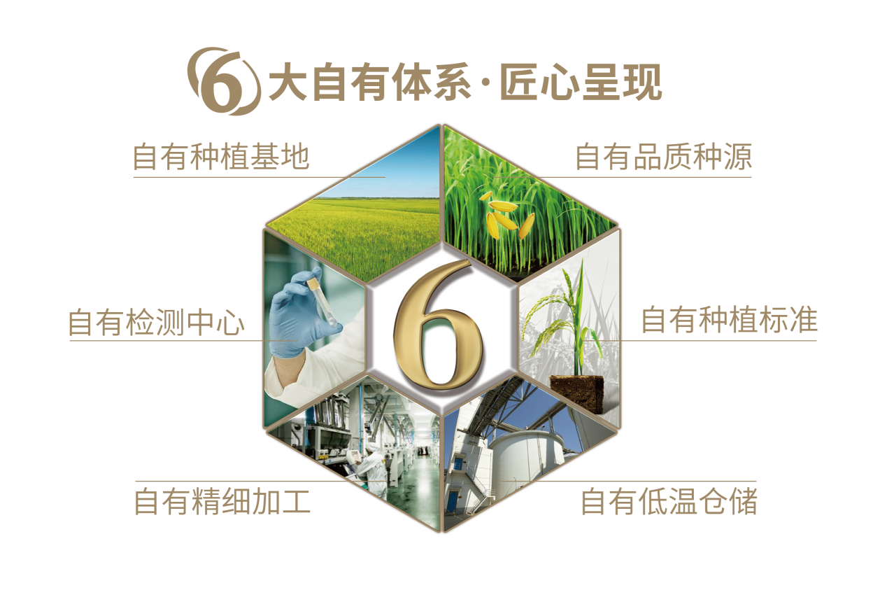 点击查看原始图片