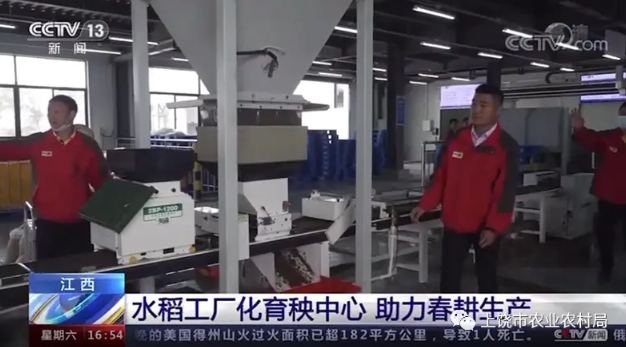 点击查看原始图片