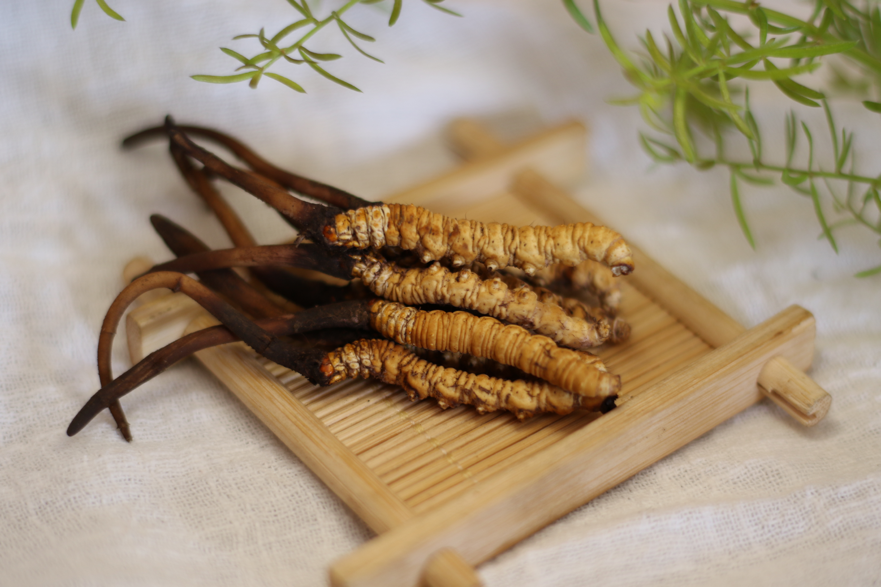 百消丹富元牌虫草王胶囊,平价滋补,普惠百姓