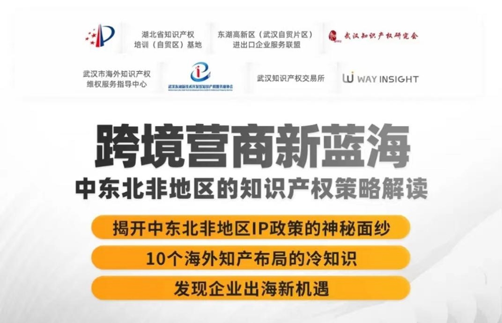 武汉自贸区联合中微知著举办知产海外布局策略报告会