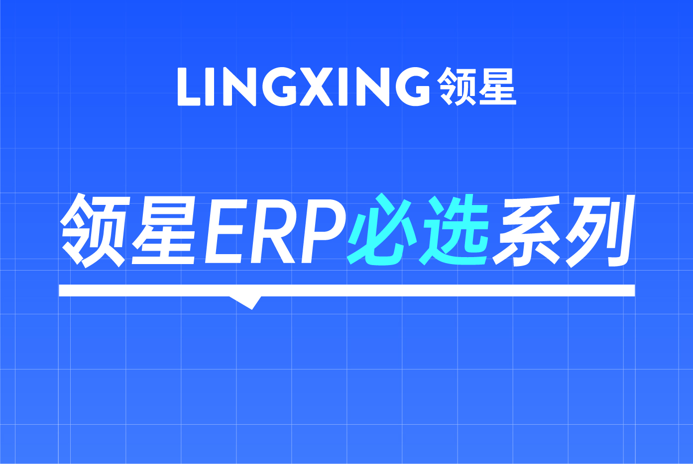领星ERP必选系列.jpg